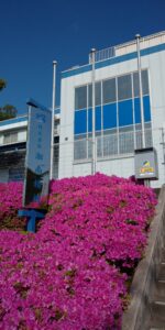 ツツジと本社工場
